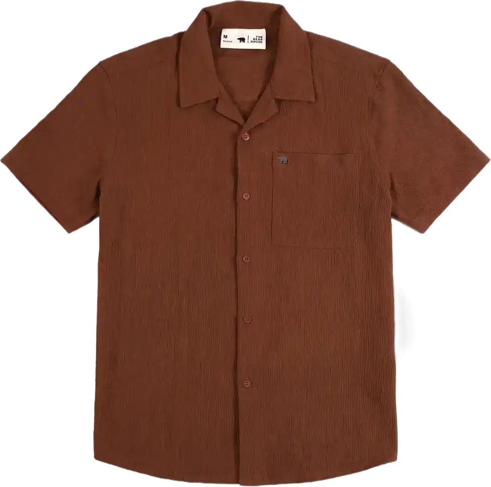 Brown_tshirtsfgfshfdshhdfshfdh