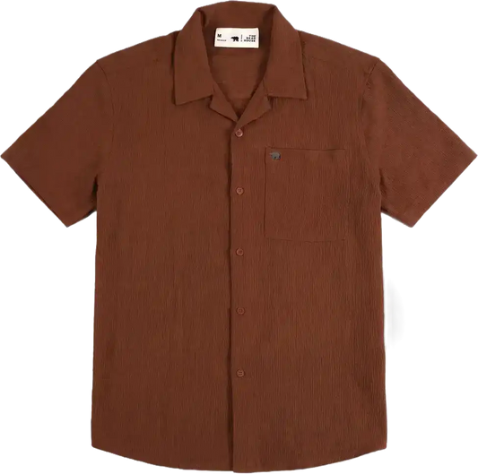 Brown_tshirtsfgfshfdshhdfshfdh